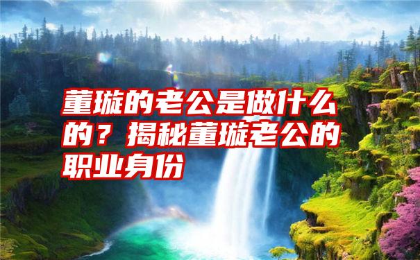 董璇的老公是做什么的？揭秘董璇老公的职业身份