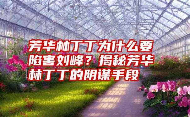 芳华林丁丁为什么要陷害刘峰？揭秘芳华林丁丁的阴谋手段