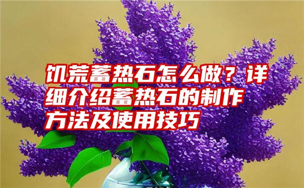 饥荒蓄热石怎么做？详细介绍蓄热石的制作方法及使用技巧