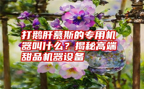 打鹅肝慕斯的专用机器叫什么？揭秘高端甜品机器设备