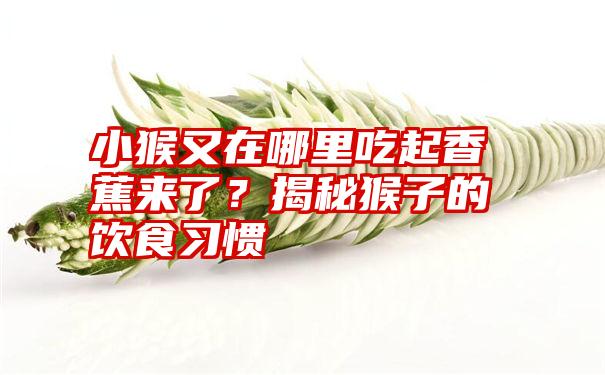 小猴又在哪里吃起香蕉来了？揭秘猴子的饮食习惯