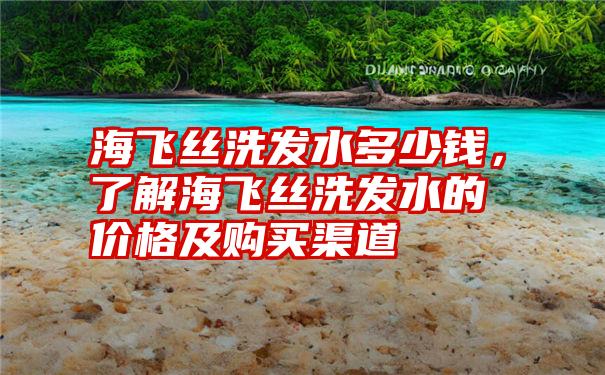 海飞丝洗发水多少钱，了解海飞丝洗发水的价格及购买渠道