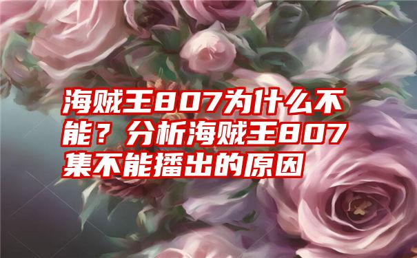 海贼王807为什么不能？分析海贼王807集不能播出的原因