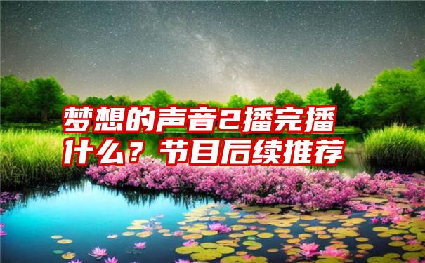 梦想的声音2播完播什么？节目后续推荐