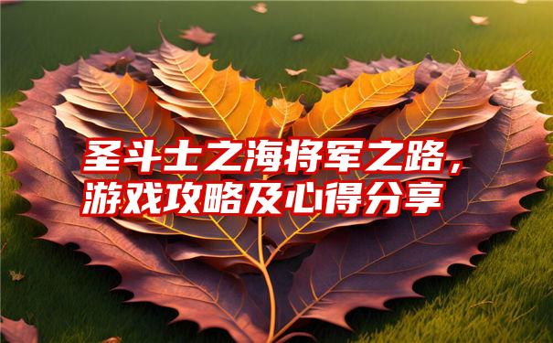 圣斗士之海将军之路，游戏攻略及心得分享