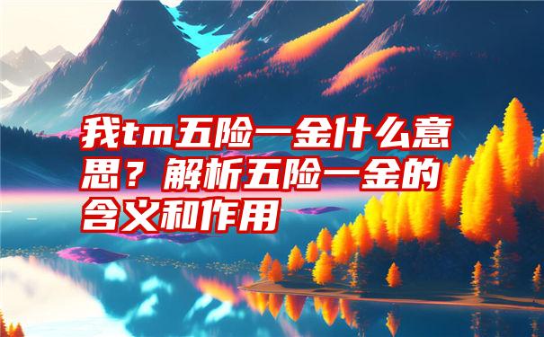 我tm五险一金什么意思？解析五险一金的含义和作用