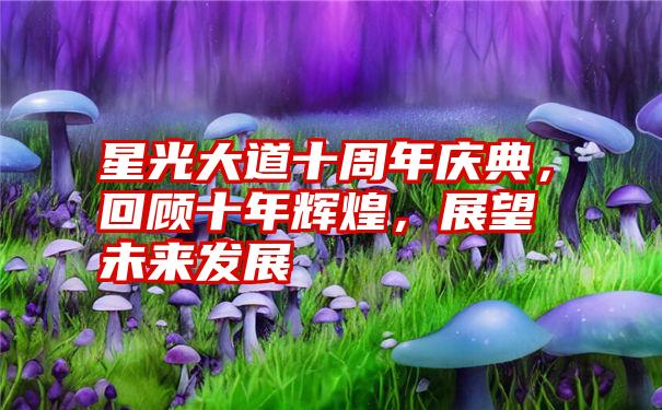 星光大道十周年庆典，回顾十年辉煌，展望未来发展