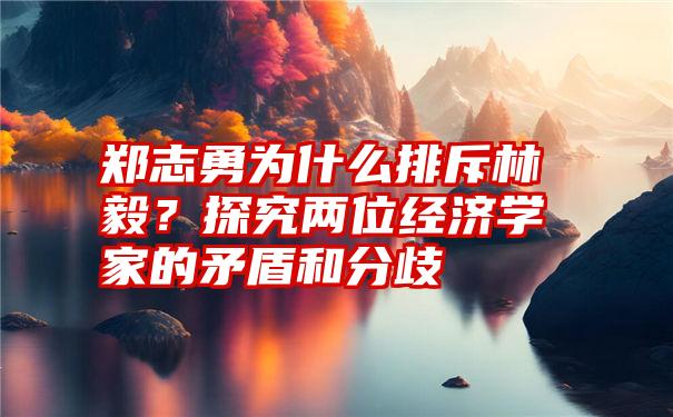 郑志勇为什么排斥林毅？探究两位经济学家的矛盾和分歧