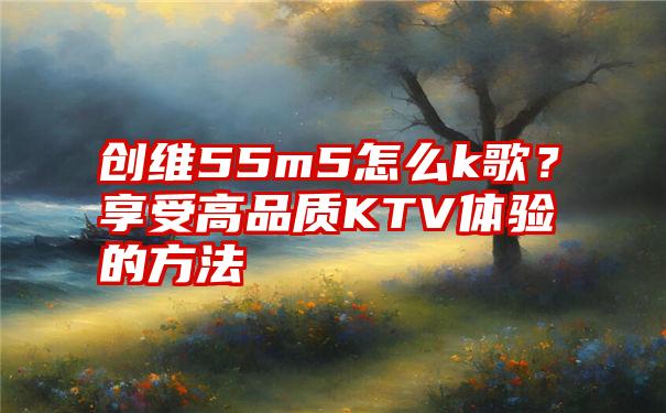 创维55m5怎么k歌？享受高品质KTV体验的方法