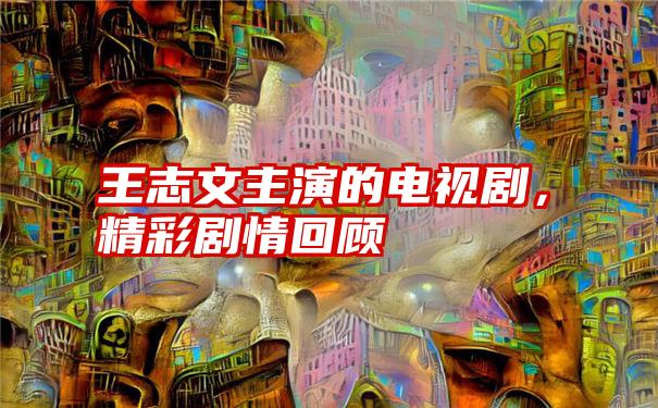 王志文主演的电视剧，精彩剧情回顾