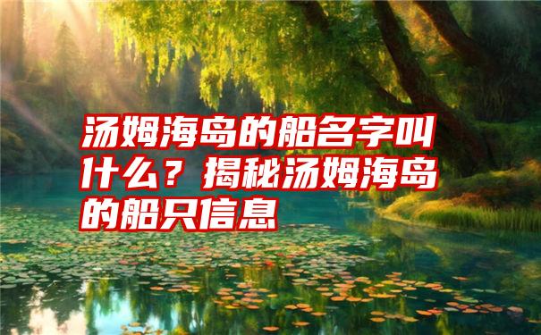 汤姆海岛的船名字叫什么？揭秘汤姆海岛的船只信息