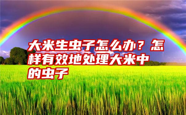 大米生虫子怎么办？怎样有效地处理大米中的虫子