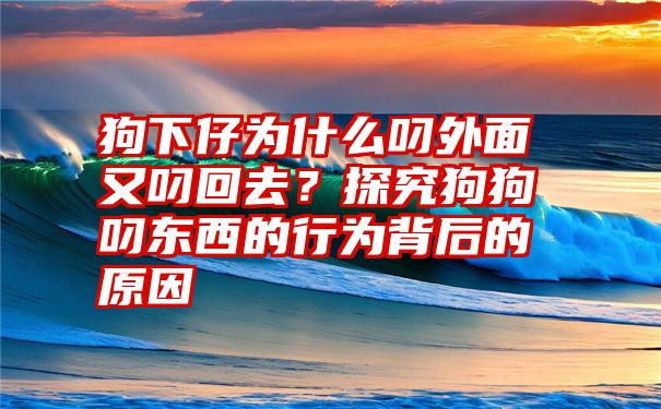 狗下仔为什么叼外面又叼回去？探究狗狗叼东西的行为背后的原因