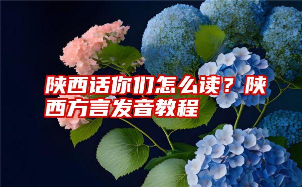 陕西话你们怎么读？陕西方言发音教程