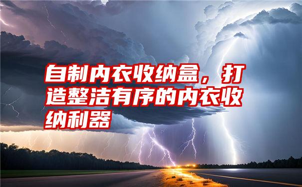 自制内衣收纳盒，打造整洁有序的内衣收纳利器