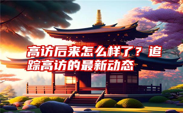 高访后来怎么样了？追踪高访的最新动态