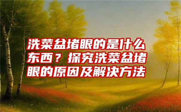 洗菜盆堵眼的是什么东西？探究洗菜盆堵眼的原因及解决方法