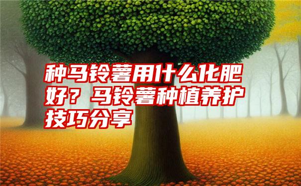 种马铃薯用什么化肥好？马铃薯种植养护技巧分享