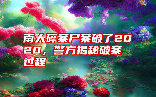 南大碎案尸案破了2020，警方揭秘破案过程