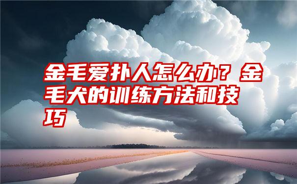 金毛爱扑人怎么办？金毛犬的训练方法和技巧