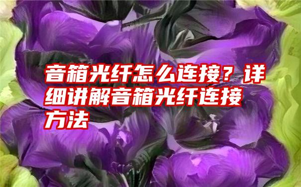 音箱光纤怎么连接？详细讲解音箱光纤连接方法