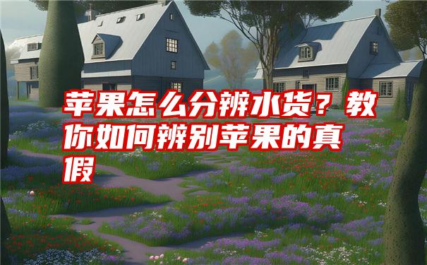 苹果怎么分辨水货？教你如何辨别苹果的真假