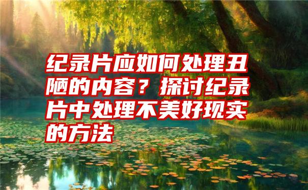 纪录片应如何处理丑陋的内容？探讨纪录片中处理不美好现实的方法