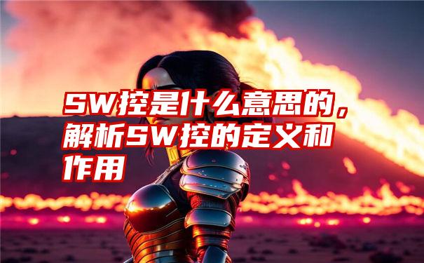 SW控是什么意思的，解析SW控的定义和作用