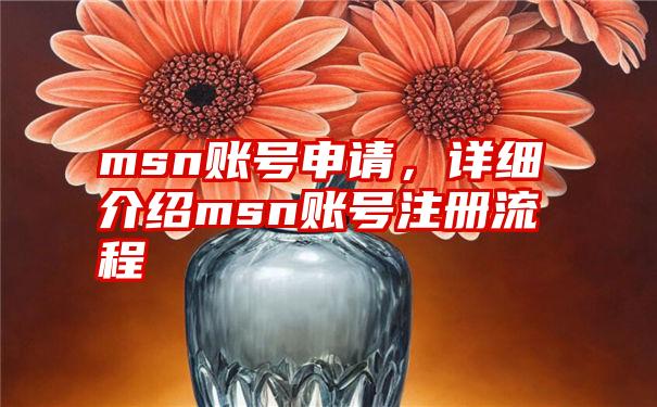 msn账号申请，详细介绍msn账号注册流程