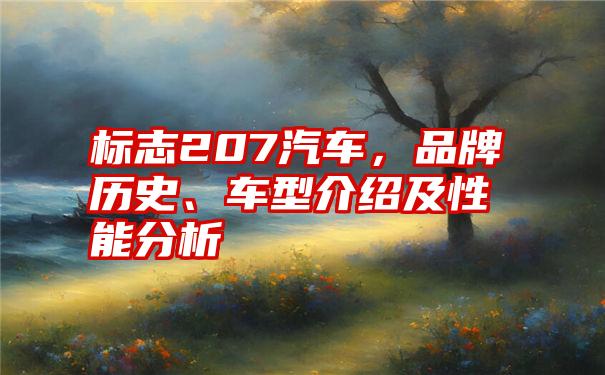 标志207汽车，品牌历史、车型介绍及性能分析