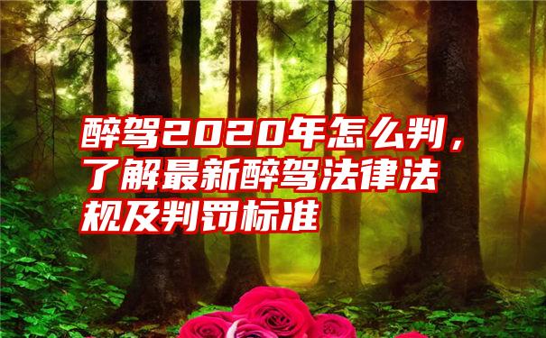 醉驾2020年怎么判，了解最新醉驾法律法规及判罚标准