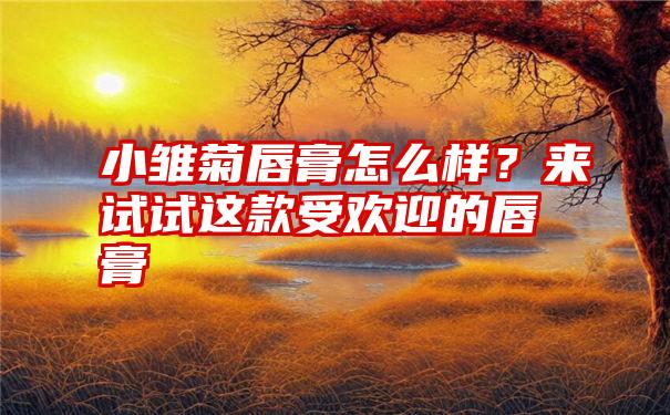 小雏菊唇膏怎么样？来试试这款受欢迎的唇膏