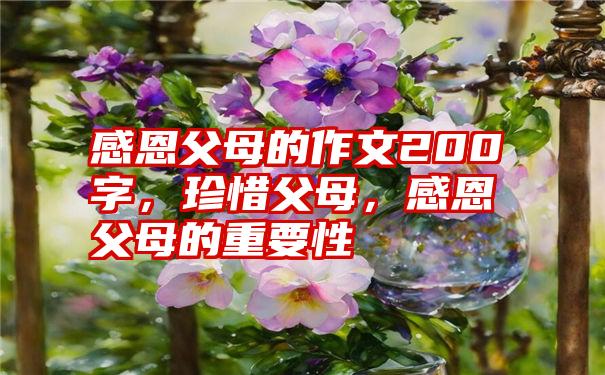 感恩父母的作文200字，珍惜父母，感恩父母的重要性