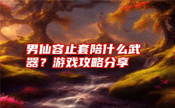 男仙容止套陪什么武器？游戏攻略分享