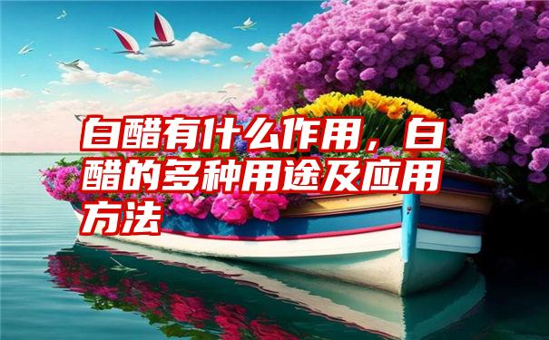 白醋有什么作用，白醋的多种用途及应用方法