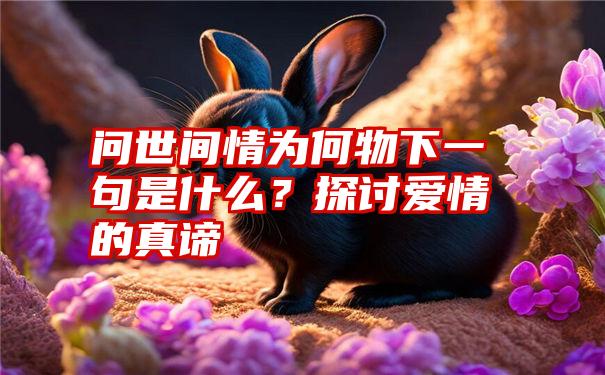 问世间情为何物下一句是什么？探讨爱情的真谛