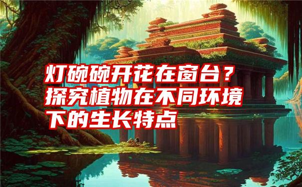 灯碗碗开花在窗台？探究植物在不同环境下的生长特点