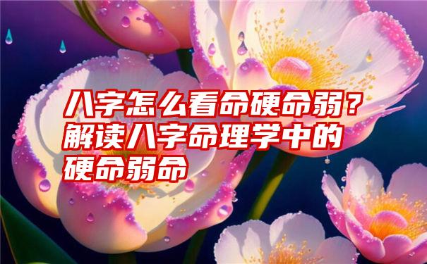 八字怎么看命硬命弱？解读八字命理学中的硬命弱命