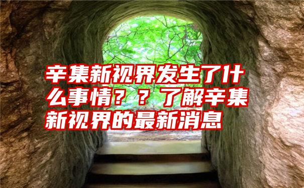 辛集新视界发生了什么事情？？了解辛集新视界的最新消息