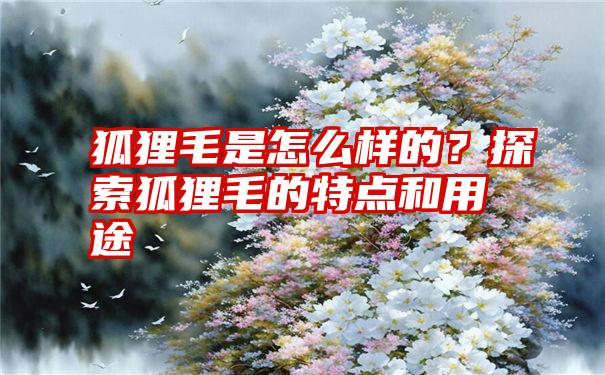 狐狸毛是怎么样的？探索狐狸毛的特点和用途