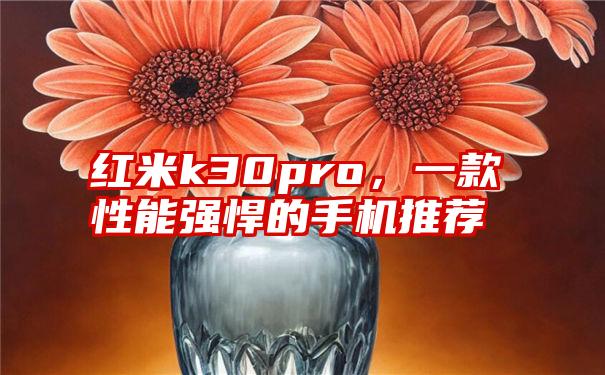 红米k30pro，一款性能强悍的手机推荐