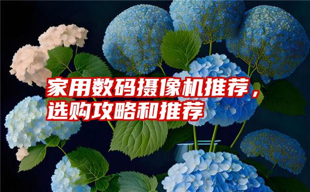 家用数码摄像机推荐，选购攻略和推荐