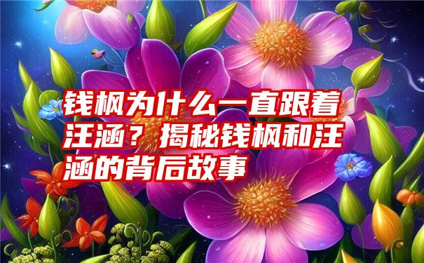 钱枫为什么一直跟着汪涵？揭秘钱枫和汪涵的背后故事