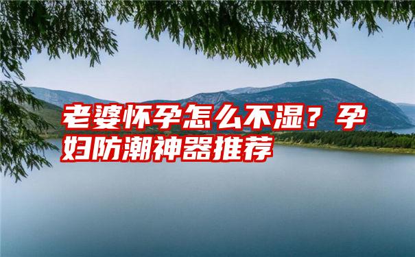 老婆怀孕怎么不湿？孕妇防潮神器推荐