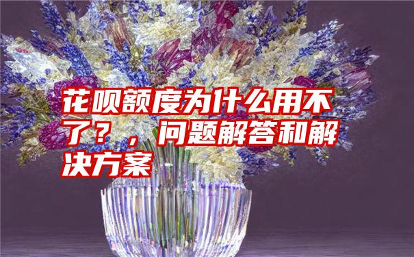 花呗额度为什么用不了？，问题解答和解决方案