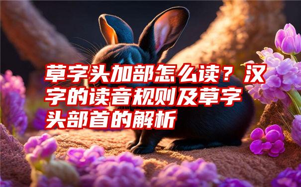 草字头加部怎么读？汉字的读音规则及草字头部首的解析