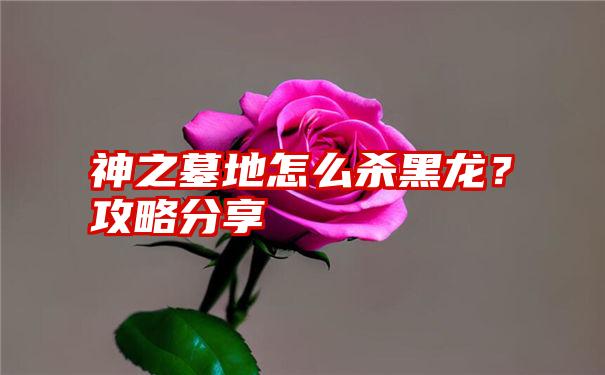 神之墓地怎么杀黑龙？攻略分享