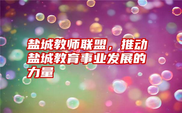 盐城教师联盟，推动盐城教育事业发展的力量