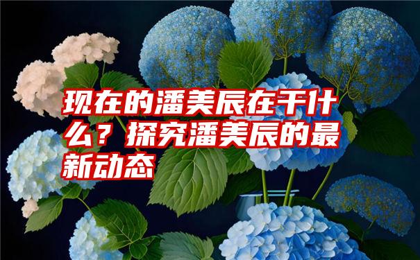 现在的潘美辰在干什么？探究潘美辰的最新动态