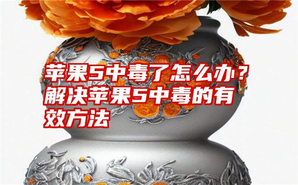 苹果5中毒了怎么办？解决苹果5中毒的有效方法